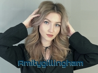 Amitygillingham