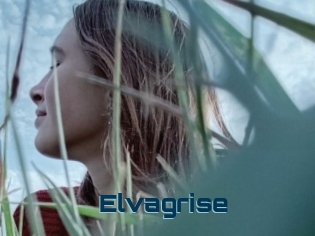 Elvagrise