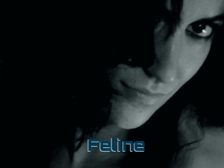 Feline