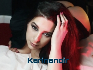 Karinanoir