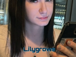 Lilygrows