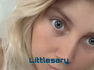 Littlesary