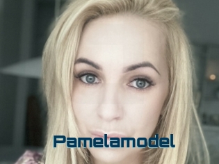 Pamelamodel