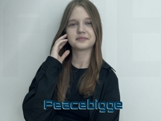 Peacebigge