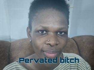 Pervated_bitch