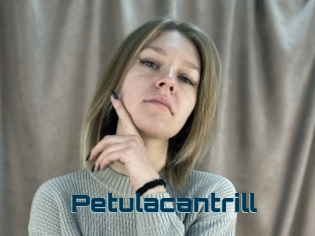 Petulacantrill