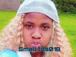 Small_tits018