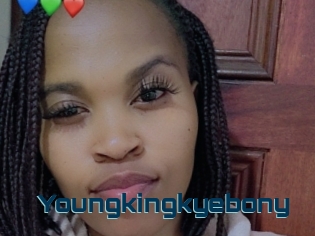Youngkingkyebony